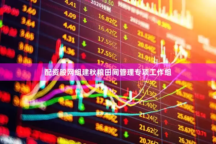 配资股网组建秋粮田间管理专项工作组