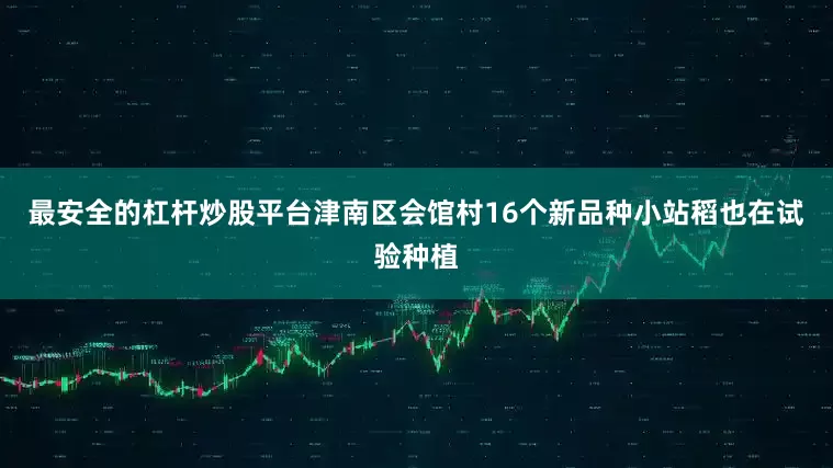 最安全的杠杆炒股平台津南区会馆村16个新品种小站稻也在试验种植