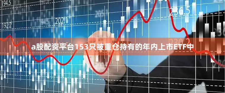 a股配资平台153只被重仓持有的年内上市ETF中