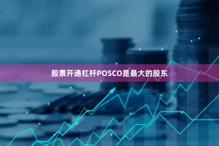股票开通杠杆POSCO是最大的股东