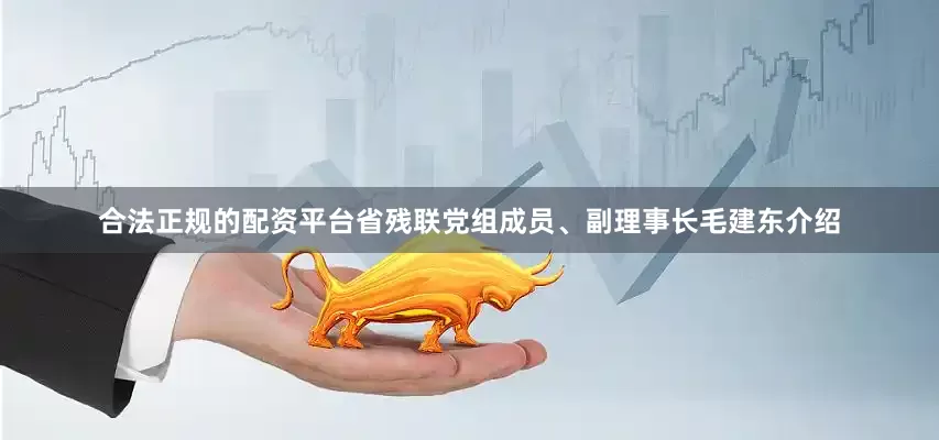 合法正规的配资平台省残联党组成员、副理事长毛建东介绍