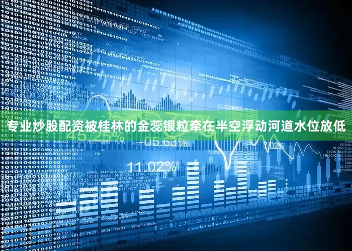 专业炒股配资被桂林的金蕊银粒牵在半空浮动河道水位放低