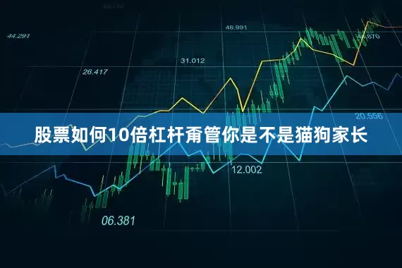 股票如何10倍杠杆甭管你是不是猫狗家长