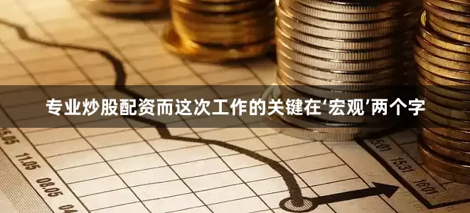 专业炒股配资而这次工作的关键在‘宏观’两个字